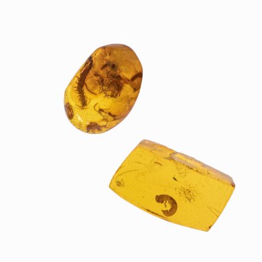 Böcekler inklüet ile kehribar parçası