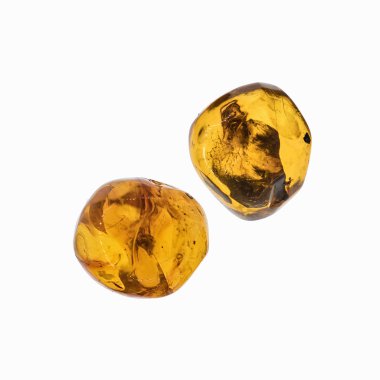 Böcekler inklüet ile kehribar parçası