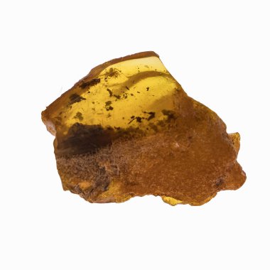 Böcekler inklüet ile kehribar parçası