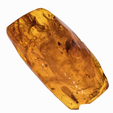 Böcekler inklüet ile kehribar parçası