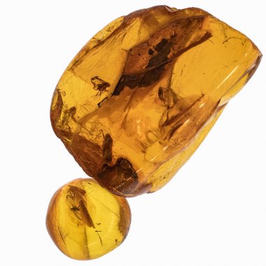 Böcekler inklüet ile kehribar parçası