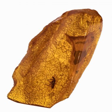 Böcekler inklüet ile kehribar parçası