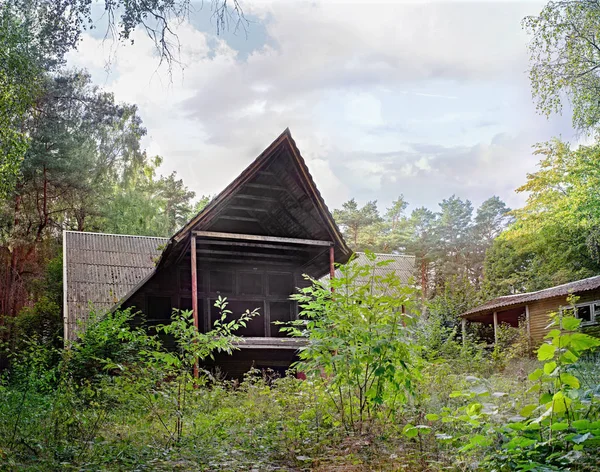 Стара зруйнована будівля в лісі — стокове фото