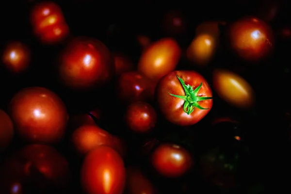 Různá lesklá rajčata na tmavém pozadí — Stock fotografie