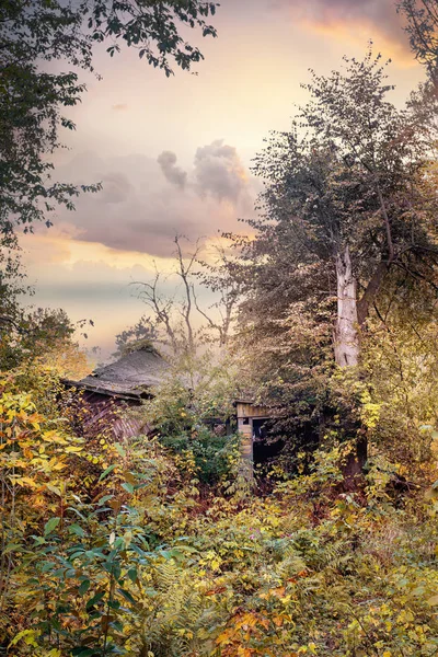 Old ruined wooden building in a natural forest — Stock Photo, Image