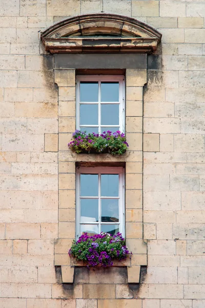 Zwei Fenster mit Blumen — Stockfoto
