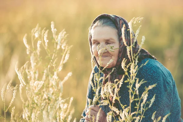 Close-up of a grandmother in golden herbs for a walk in the field. Sunny sunset in the summer.