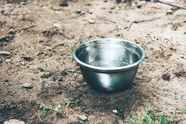 Metal chrome bowl with water in the yard