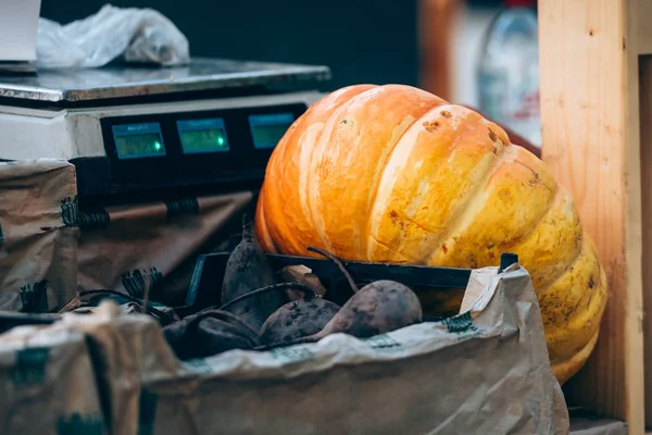 Pumpkin, market, autumn-autumn market and trade in natural products