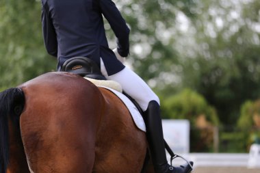 Spor at portre terbiye rekabet altında eyer sırasında. Bilinmeyen yarışmacı yere sürme kapalı terbiye horse etkinliğinde rides