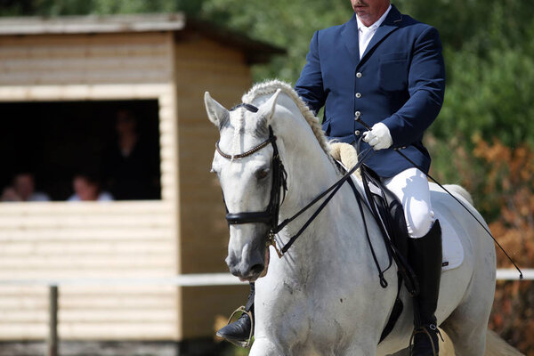 Unknown contestant rides at dressage horse event in riding ground. Head shot closeup of a dressage horse during competition event