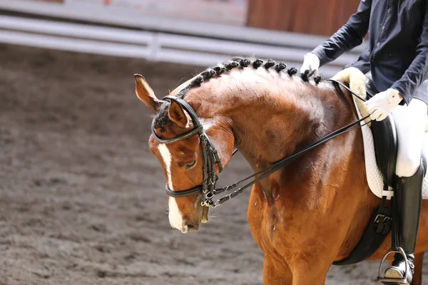 Paseos Concursantes Desconocidos Evento Doma Caballo Terreno Juego Primer Plano — Foto de Stock