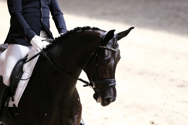 Onbekende Deelnemer Rijdt Dressuur Paardenevenement Het Berijden Van Grond Hoofd — Stockfoto