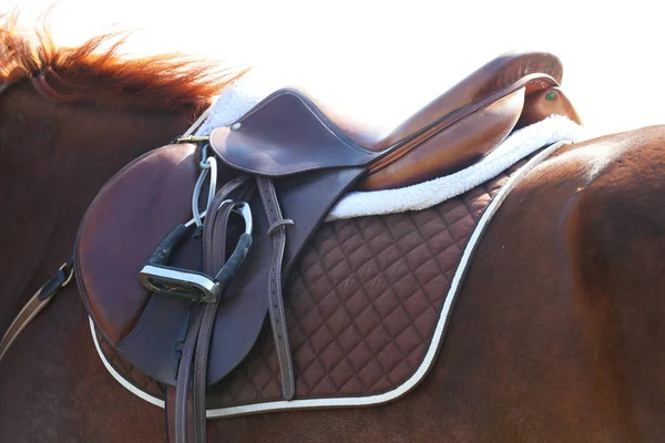 Esporte Cavalo Durante Competição Sob Sela Livre — Fotografia de Stock