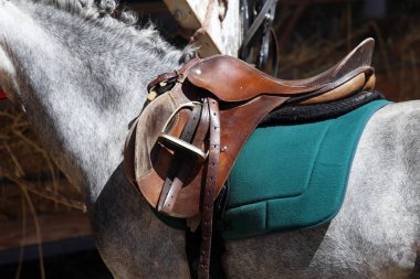 Spor at yakın eski deri eyer terbiye rekabet altında. Atlı spor arka plan.