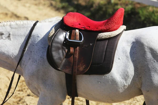 Esporte Cavalo Fechar Sob Velha Sela Couro Competição Dressage Fundo — Fotografia de Stock