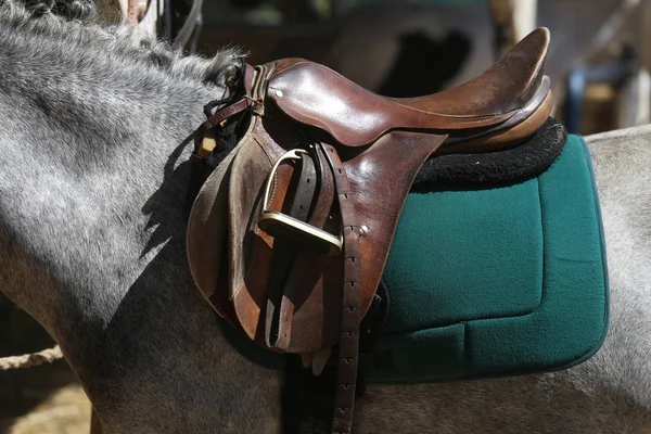 スポーツの馬を馬場馬術競争の古い革サドルの下でクローズ アップ 馬術スポーツの背景 — ストック写真