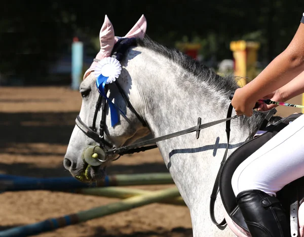 Unknown horse rider riding on equestrian event with the ribbons rosette of winners