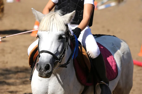 Unknown horse rider riding on equestrian event with the ribbons rosette of winners