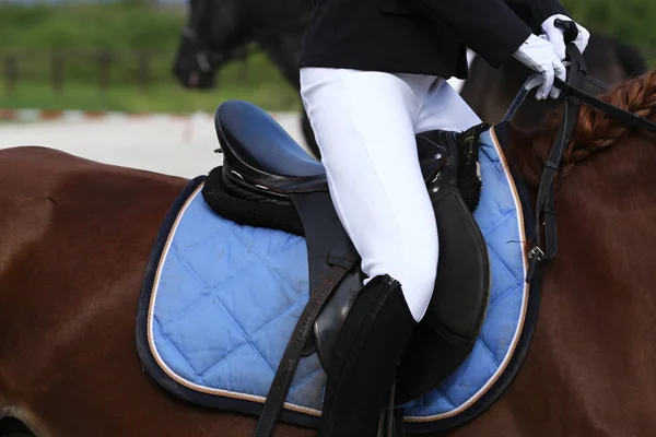 Esporte Cavalo Fechar Sob Velha Sela Couro Competição Dressage Fundo — Fotografia de Stock