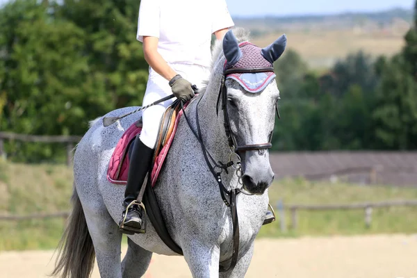 Esporte Cavalo Fechar Sob Velha Sela Couro Competição Dressage Fundo — Fotografia de Stock
