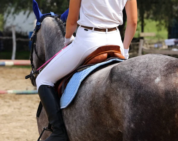 スポーツの馬を馬場馬術競争の古い革サドルの下でクローズ アップ 馬術スポーツの背景 — ストック写真