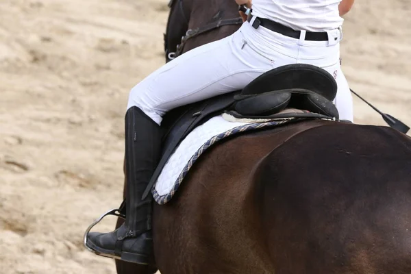 Sport Paard Close Onder Oude Lederen Zadel Dressuur Hippische Sport — Stockfoto