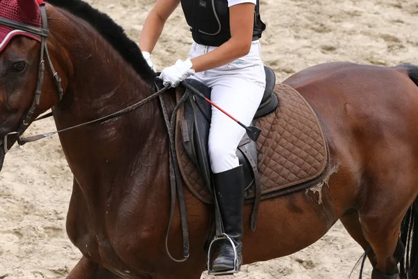 Sport Paard Close Onder Oude Lederen Zadel Dressuur Hippische Sport — Stockfoto