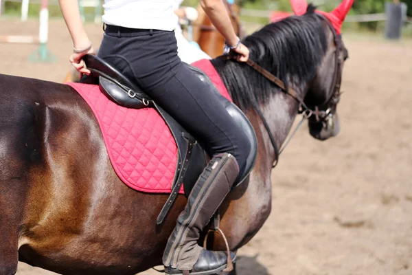 若く美しいスポーツ馬術競技にサドルの下の馬 — ストック写真