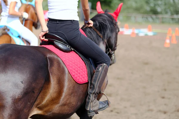 Beautiful Young Sport Horse Saddle Equestrian Event — Stock Photo, Image
