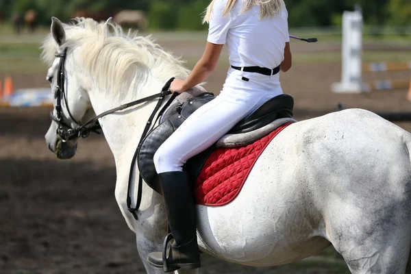 Schönes Junges Sportpferd Sattel Bei Reitturnier — Stockfoto