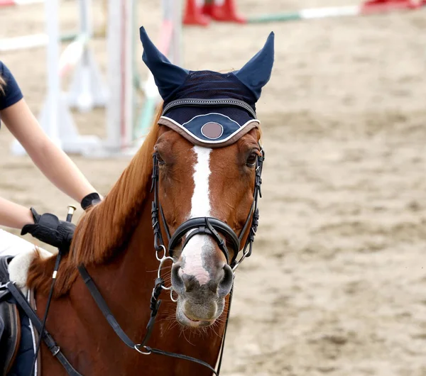 Güzel Bir Genç Sırasında Rekabet Açık Havada Spor Başkanı Spor — Stok fotoğraf