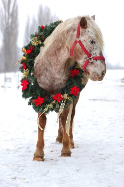 Rüya gibi Noel görüntü güzel bir çelenk kar yağışı giyen asaddle at