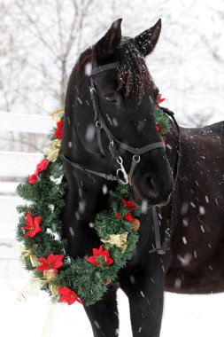 Rüya gibi Noel görüntü güzel bir çelenk kar yağışı giyen asaddle at