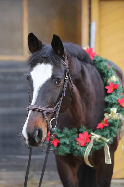 Asaddle 馬納屋のドアに対して農村乗馬ホールで美しいクリスマス リースを着ての夢のようなイメージ — ストック写真