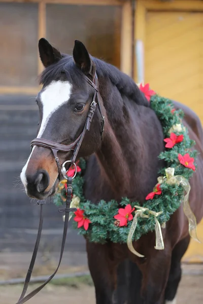 Asaddle 馬納屋のドアに対して農村乗馬ホールで美しいクリスマス リースを着ての夢のようなイメージ — ストック写真