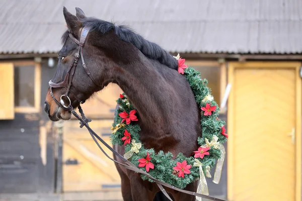 Ονειρική Εικόνα Άλογο Asaddle Φορώντας Ένα Όμορφο Χριστουγεννιάτικο Στεφάνι Στην — Φωτογραφία Αρχείου