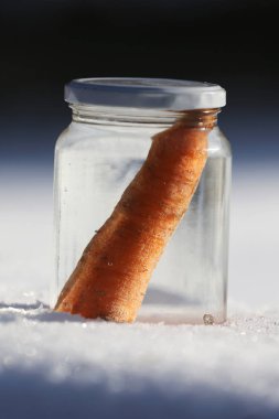 Güneşin kardan adam geldiğinde garten içinde eriyor. Kardan adam mason kavanoza dirilişine bekliyor. Taze havuç olarak kavanoza yeni kış sezonu için bekleyen kışın erimiş kardan adam