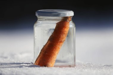 Güneşin kardan adam geldiğinde garten içinde eriyor. Kardan adam mason kavanoza dirilişine bekliyor. Taze havuç olarak kavanoza yeni kış sezonu için bekleyen kışın erimiş kardan adam