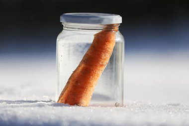 Güneşin kardan adam geldiğinde garten içinde eriyor. Kardan adam mason kavanoza dirilişine bekliyor. Taze havuç olarak kavanoza yeni kış sezonu için bekleyen kışın erimiş kardan adam