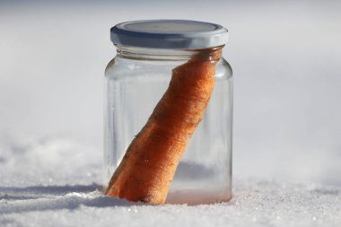 Güneşin kardan adam geldiğinde garten içinde eriyor. Kardan adam mason kavanoza dirilişine bekliyor. Taze havuç olarak kavanoza yeni kış sezonu için bekleyen kışın erimiş kardan adam