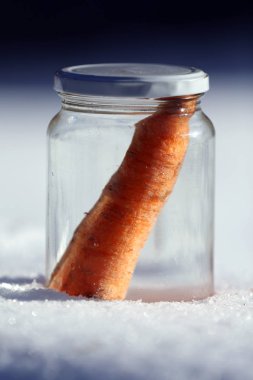 Güneşin kardan adam geldiğinde garten içinde eriyor. Kardan adam mason kavanoza dirilişine bekliyor. Taze havuç olarak kavanoza yeni kış sezonu için bekleyen kışın erimiş kardan adam