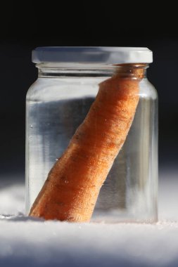 Güneşin kardan adam geldiğinde garten içinde eriyor. Kardan adam mason kavanoza dirilişine bekliyor. Taze havuç olarak kavanoza yeni kış sezonu için bekleyen kışın erimiş kardan adam