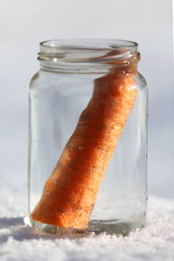 Güneşin kardan adam geldiğinde garten içinde eriyor. Kardan adam mason kavanoza dirilişine bekliyor. Taze havuç olarak kavanoza yeni kış sezonu için bekleyen kışın erimiş kardan adam