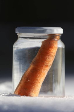 Güneşin kardan adam geldiğinde garten içinde eriyor. Kardan adam mason kavanoza dirilişine bekliyor. Taze havuç olarak kavanoza yeni kış sezonu için bekleyen kışın erimiş kardan adam