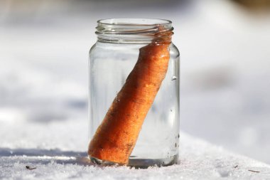 Güneşin kardan adam geldiğinde garten içinde eriyor. Kardan adam mason kavanoza dirilişine bekliyor. Taze havuç olarak kavanoza yeni kış sezonu için bekleyen kışın erimiş kardan adam