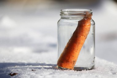 Güneşin kardan adam geldiğinde garten içinde eriyor. Kardan adam mason kavanoza dirilişine bekliyor. Taze havuç olarak kavanoza yeni kış sezonu için bekleyen kışın erimiş kardan adam