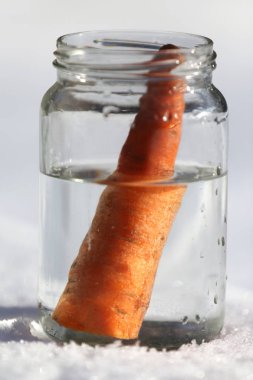 Güneşin kardan adam geldiğinde garten içinde eriyor. Kardan adam mason kavanoza dirilişine bekliyor. Taze havuç olarak kavanoza yeni kış sezonu için bekleyen kışın erimiş kardan adam