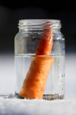 Güneşin kardan adam geldiğinde garten içinde eriyor. Kardan adam mason kavanoza dirilişine bekliyor. Taze havuç olarak kavanoza yeni kış sezonu için bekleyen kışın erimiş kardan adam