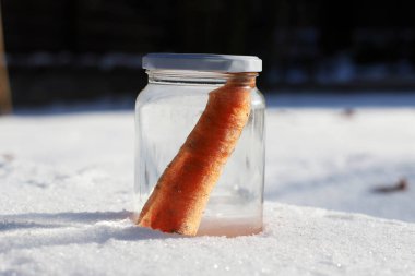 Güneşin kardan adam geldiğinde garten içinde eriyor. Kardan adam mason kavanoza dirilişine bekliyor. Taze havuç olarak kavanoza yeni kış sezonu için bekleyen kışın erimiş kardan adam